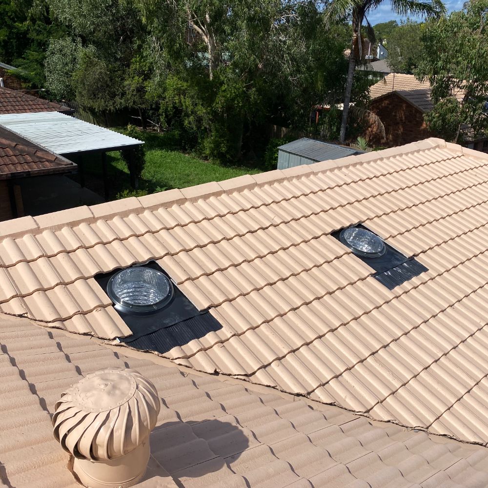 Whirly Bird and Roof Ventilation - Williams Skylights
